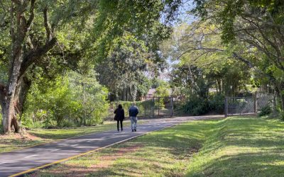 Jardín Botánico “Alberto Roth”: Un refugio de biodiversidad y aprendizaje en Posadas