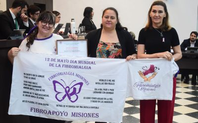 El talento posadeño tiene nombre propio: se conocieron los ternados a los Premios Arandú