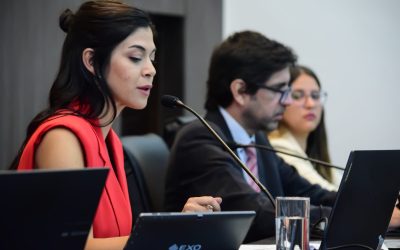 El HCD cerró su período de sesiones ordinarias con variadas iniciativas