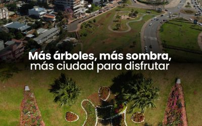 El Plan Forestal Urbano: ¿qué especies de árboles se pueden plantar?